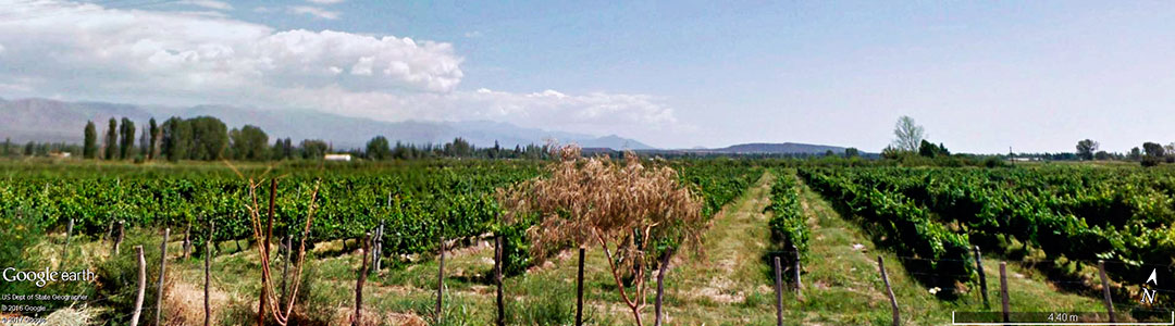 Vinhos da Argentina