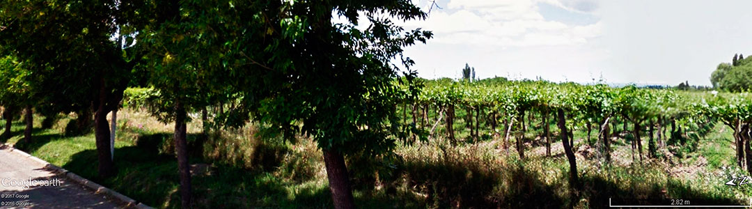 Vinhos da Argentina