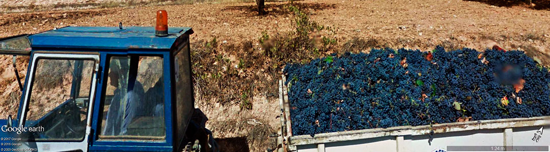 Vinhos da Espanha