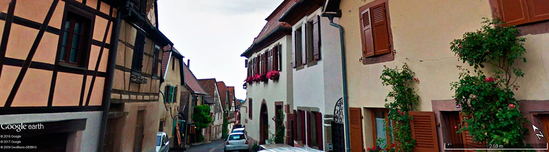 Vinhos da Fran&ccedil;a