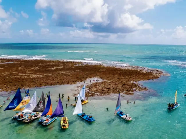 Praia de Porto de Galinhas, Litoral Sul, Pernambuco &copy; Internet, ilustração