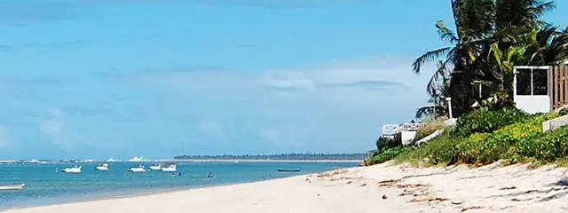 Alagoas en Playas de Brasil &copy; / Ilustración