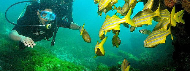 Buceo en Playas de Brasil