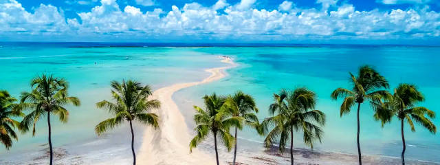 Playa Maragogi y banco de corales de la Costa Norte de Alagoas (Nordeste de Brasil) &copy; / Ilustración